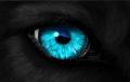 Anachronoa's avatar